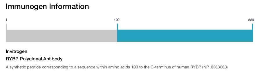 RYBP Polyclonal Antibody