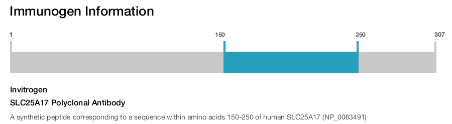 SLC25A17 Polyclonal Antibody