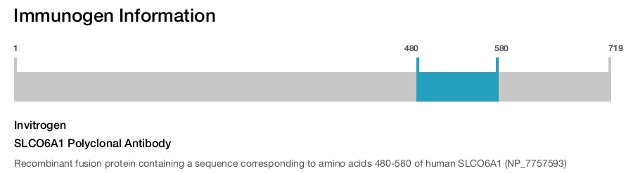 SLCO6A1 Polyclonal Antibody