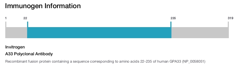 A33 Polyclonal Antibody