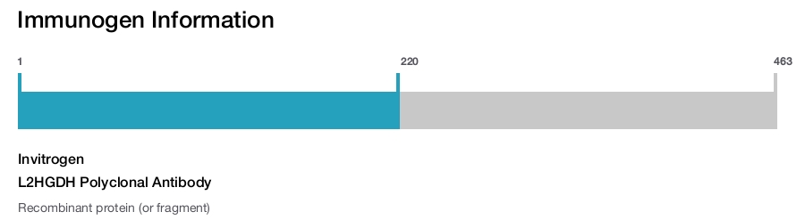 L2HGDH Polyclonal Antibody