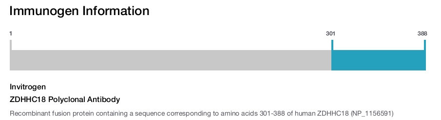 ZDHHC18 Polyclonal Antibody
