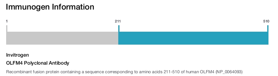OLFM4 Polyclonal Antibody