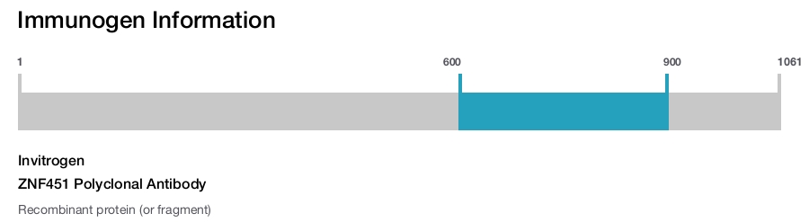 ZNF451 Polyclonal Antibody