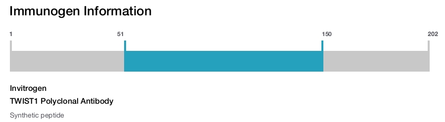TWIST1 Polyclonal Antibody