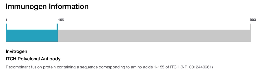 ITCH Polyclonal Antibody