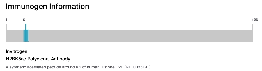 H2BK5ac Polyclonal Antibody