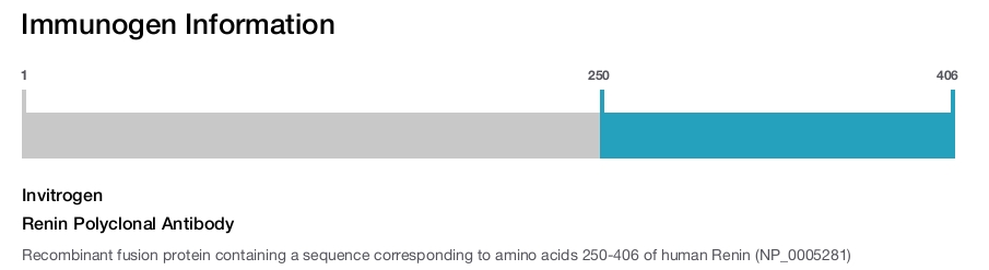 Renin Polyclonal Antibody