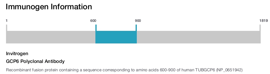GCP6 Polyclonal Antibody