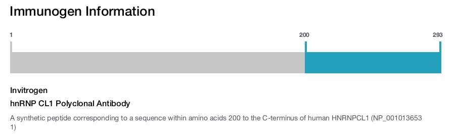 hnRNP CL1 Polyclonal Antibody