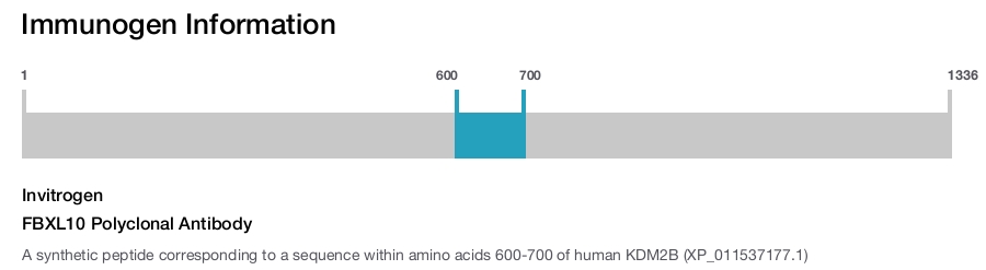 FBXL10 Polyclonal Antibody