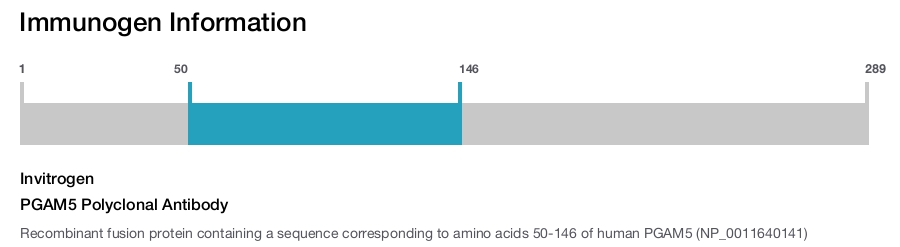 PGAM5 Polyclonal Antibody