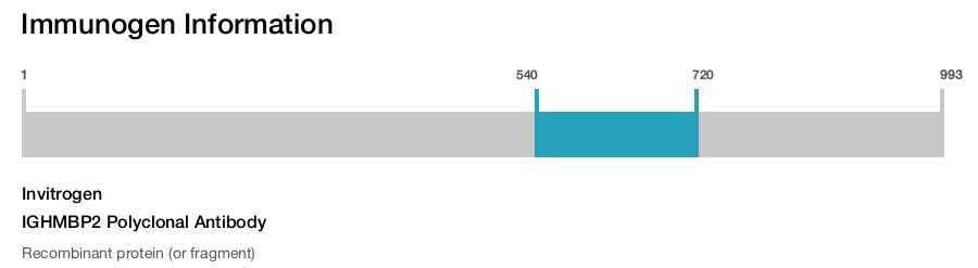 IGHMBP2 Polyclonal Antibody