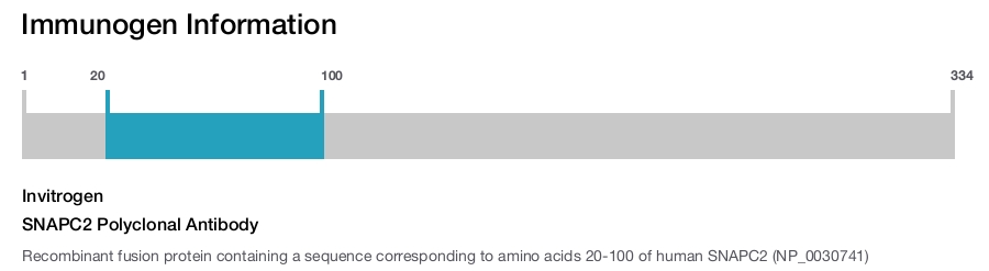 SNAPC2 Polyclonal Antibody