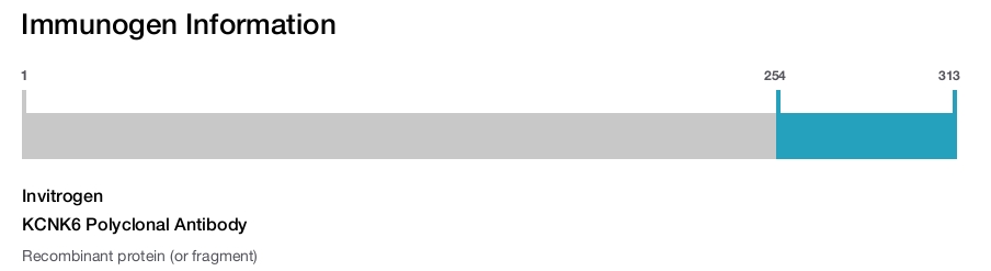 KCNK6 Polyclonal Antibody