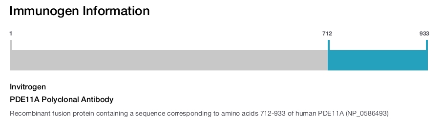 PDE11A Polyclonal Antibody