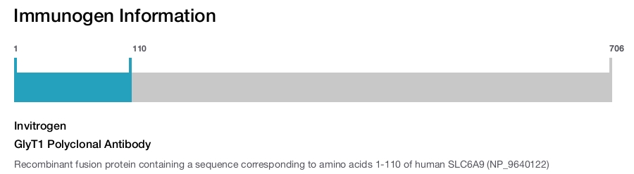 GlyT1 Polyclonal Antibody
