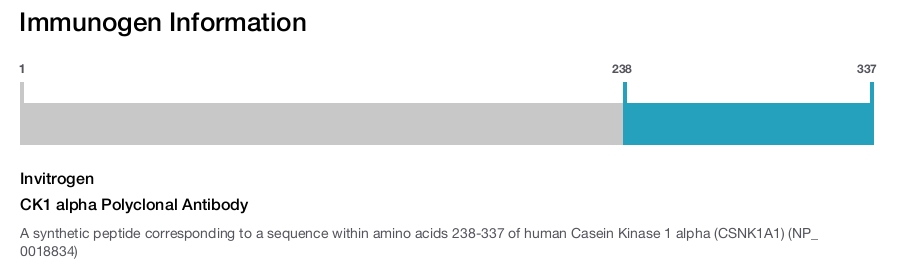 CK1 alpha Polyclonal Antibody