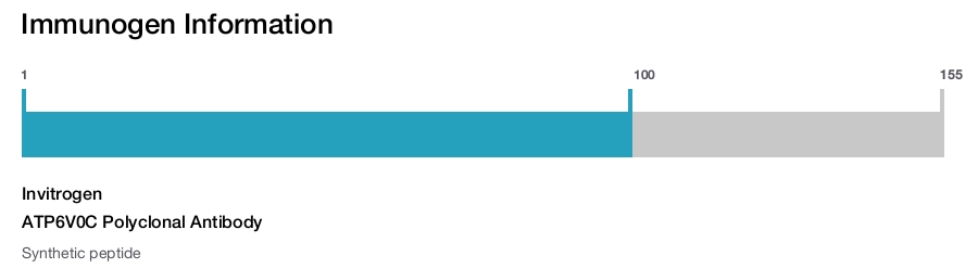 ATP6V0C Polyclonal Antibody