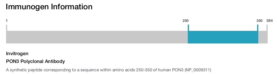 PON3 Polyclonal Antibody