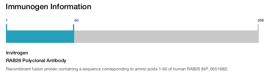 RAB26 Polyclonal Antibody