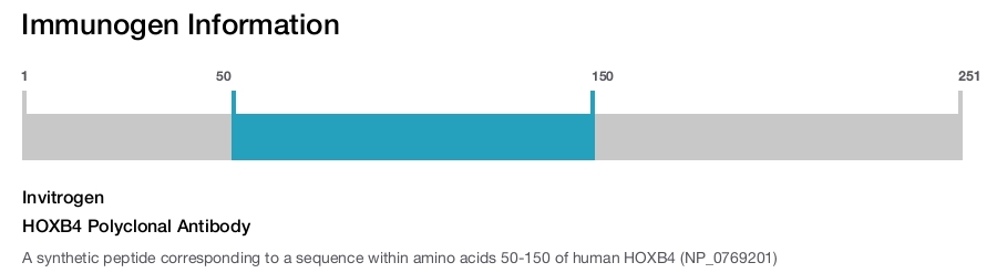 HOXB4 Polyclonal Antibody