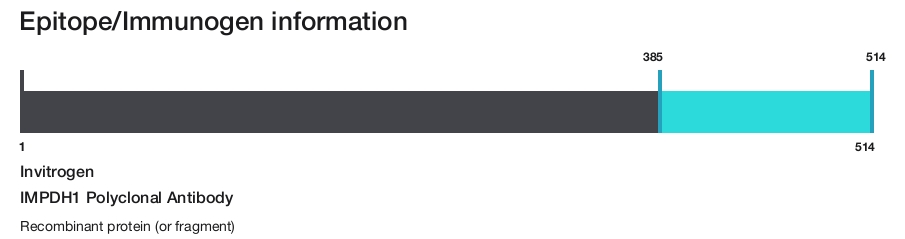 IMPDH1 Polyclonal Antibody