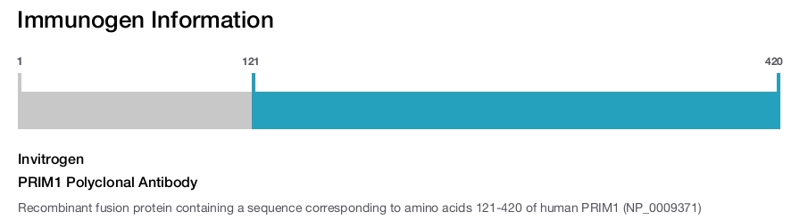 PRIM1 Polyclonal Antibody