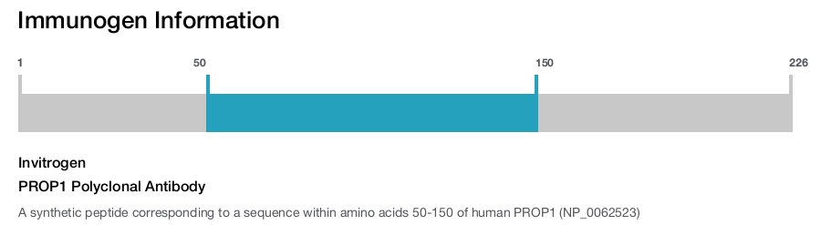 PROP1 Polyclonal Antibody