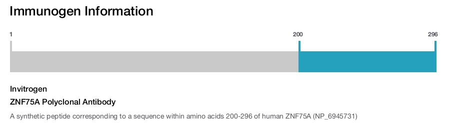 ZNF75A Polyclonal Antibody