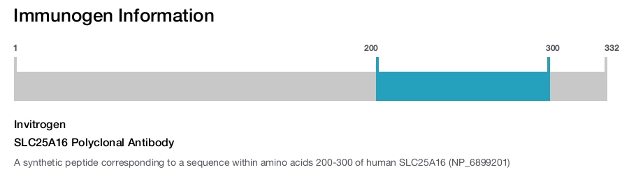 SLC25A16 Polyclonal Antibody