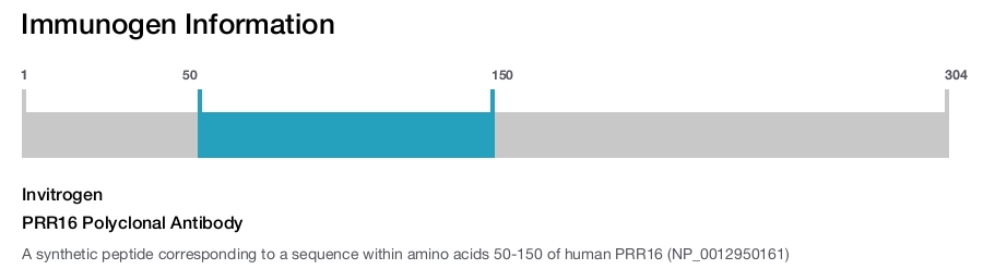 PRR16 Polyclonal Antibody