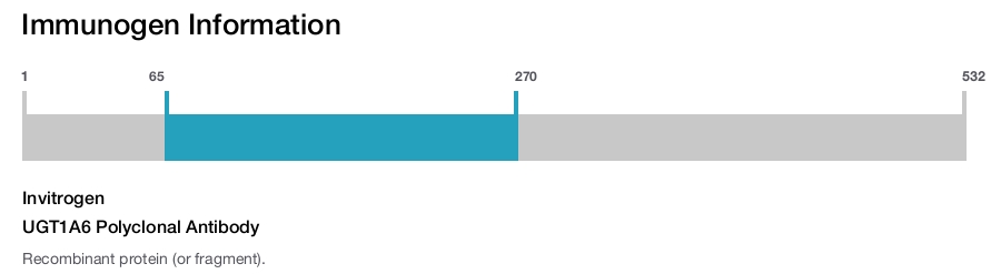 UGT1A6 Polyclonal Antibody