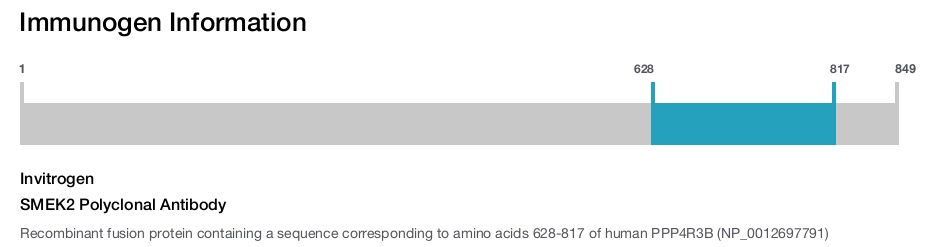 SMEK2 Polyclonal Antibody