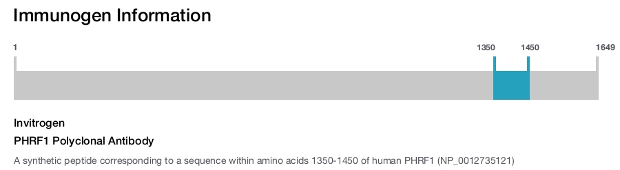PHRF1 Polyclonal Antibody