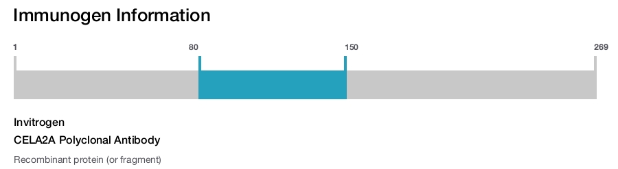 CELA2A Polyclonal Antibody