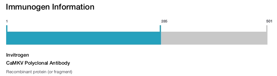 CaMKV Polyclonal Antibody