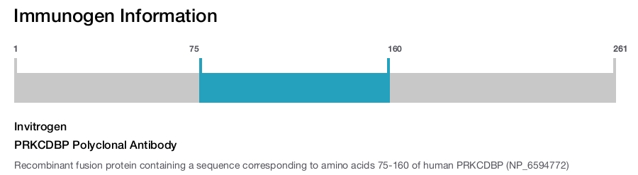 PRKCDBP Polyclonal Antibody