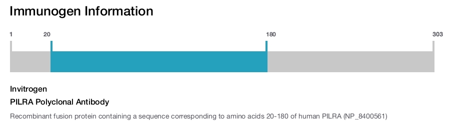PILRA Polyclonal Antibody