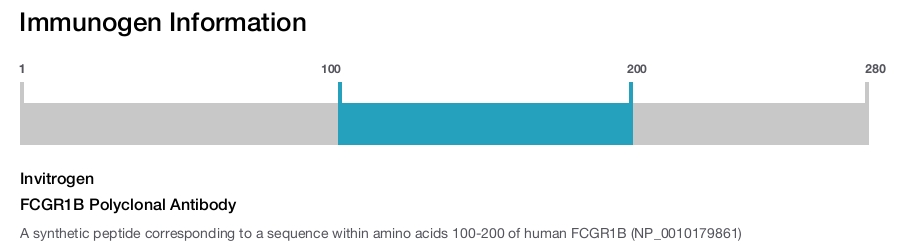 FCGR1B Polyclonal Antibody