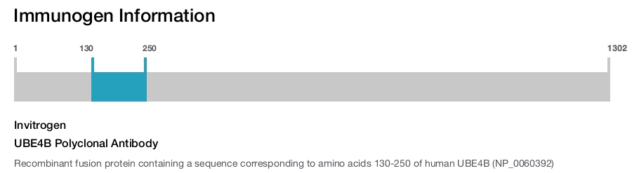UBE4B Polyclonal Antibody