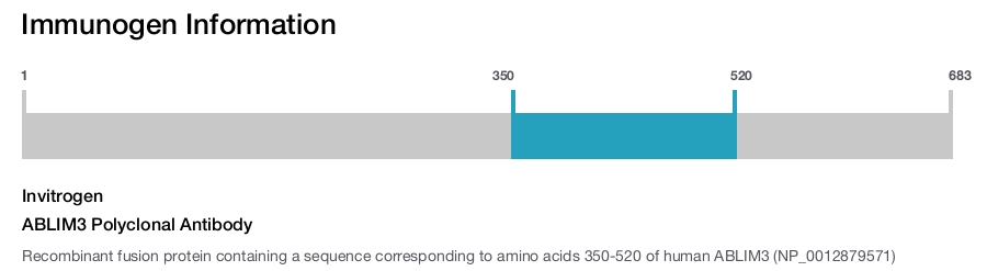 ABLIM3 Polyclonal Antibody