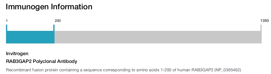 RAB3GAP2 Polyclonal Antibody