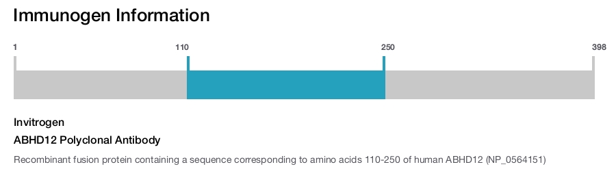 ABHD12 Polyclonal Antibody