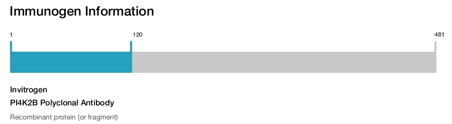 PI4K2B Polyclonal Antibody