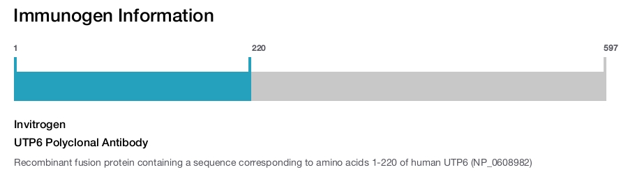 UTP6 Polyclonal Antibody