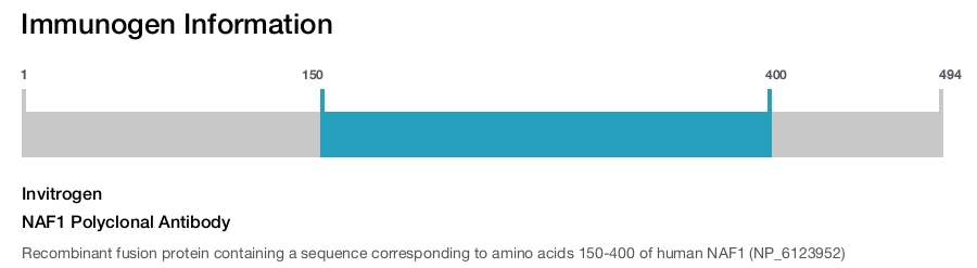NAF1 Polyclonal Antibody