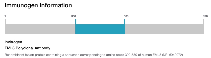 EML3 Polyclonal Antibody