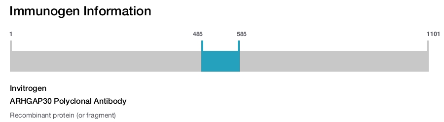 ARHGAP30 Polyclonal Antibody