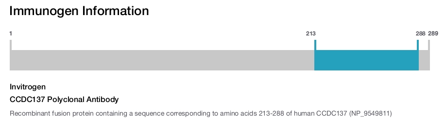 CCDC137 Polyclonal Antibody